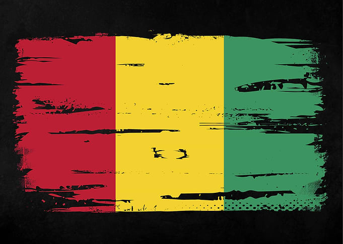 Guinea Flag