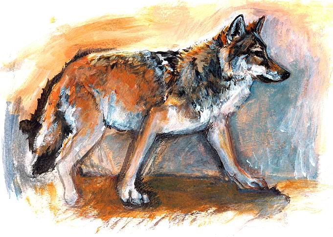 Totem chinese Wolf