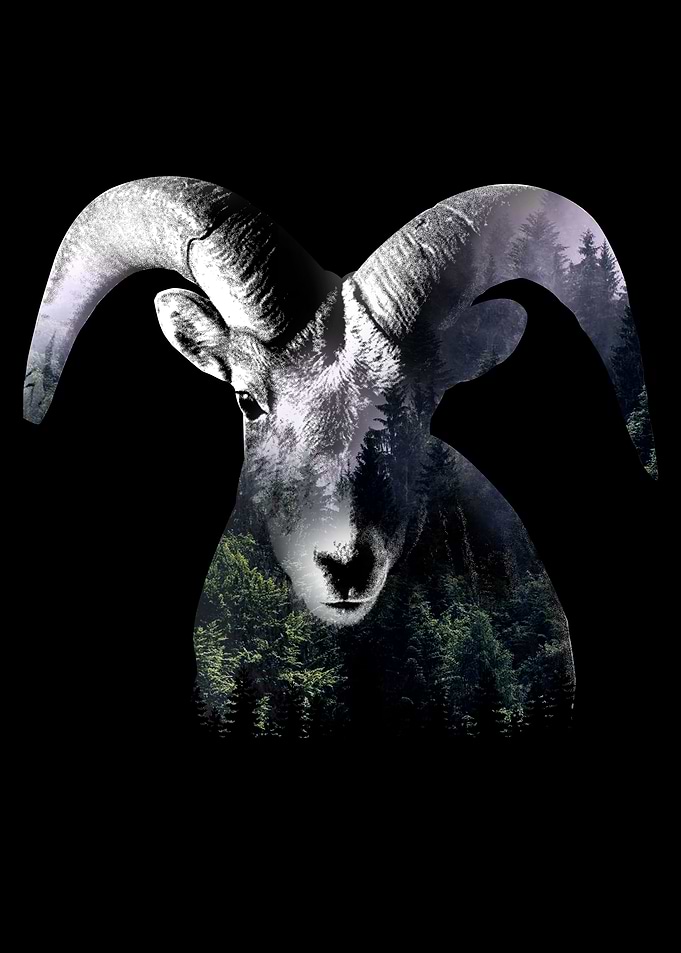 Capricorn Nature Outdoors