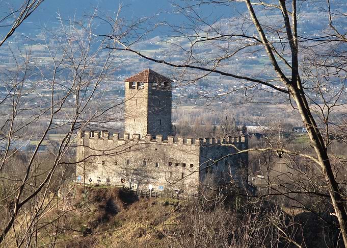 Castle in the woods