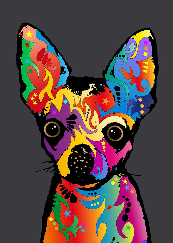 Chihuahua Dog