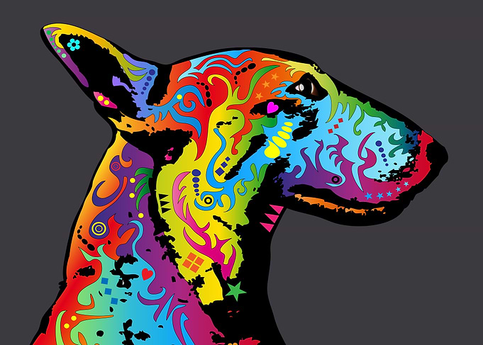 English Bull Terrier