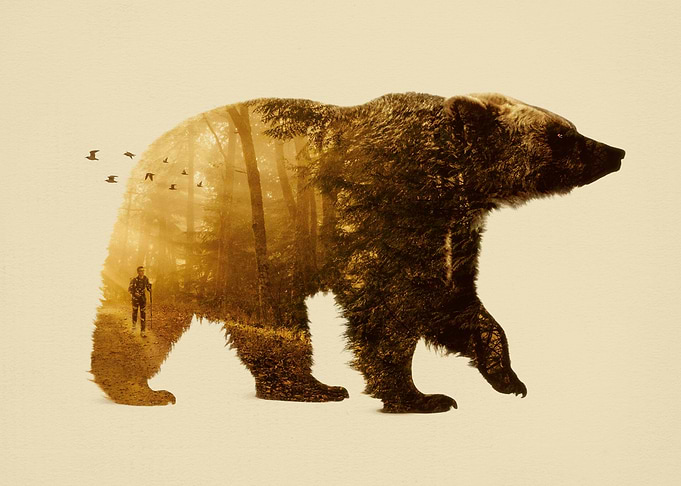 Into the Wild