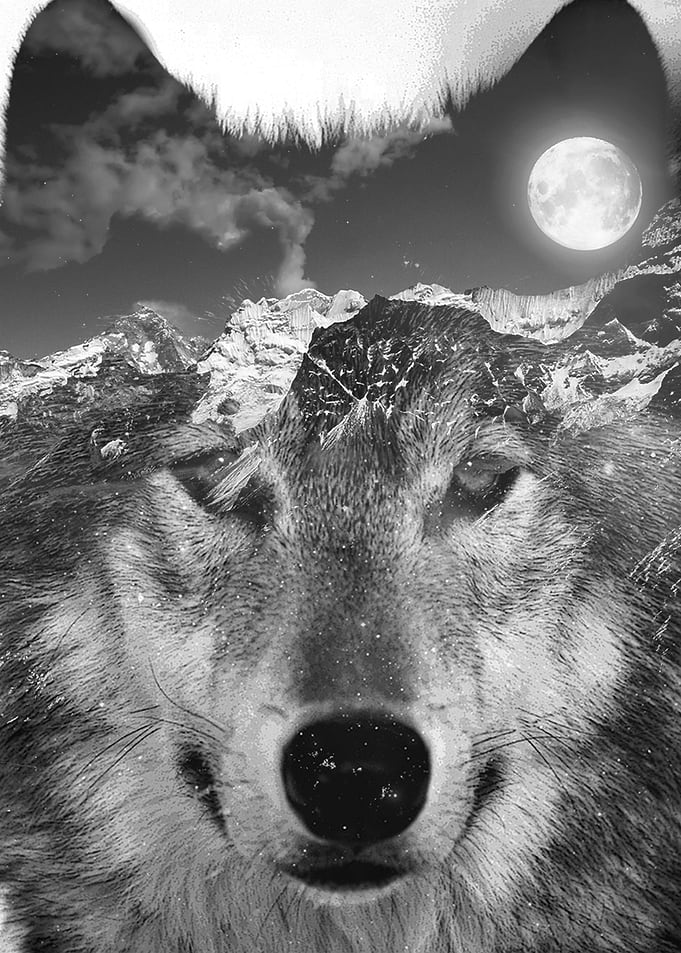 Wolf Mountain
