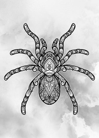 Tarantula