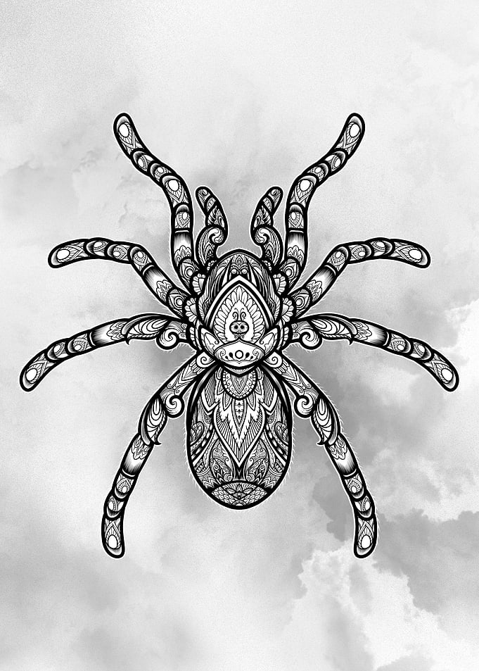 Tarantula