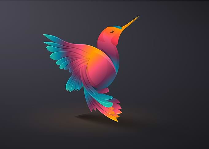 hummingbird on dark back