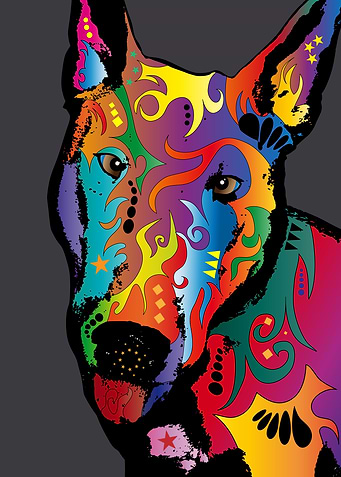 English Bull Terrier