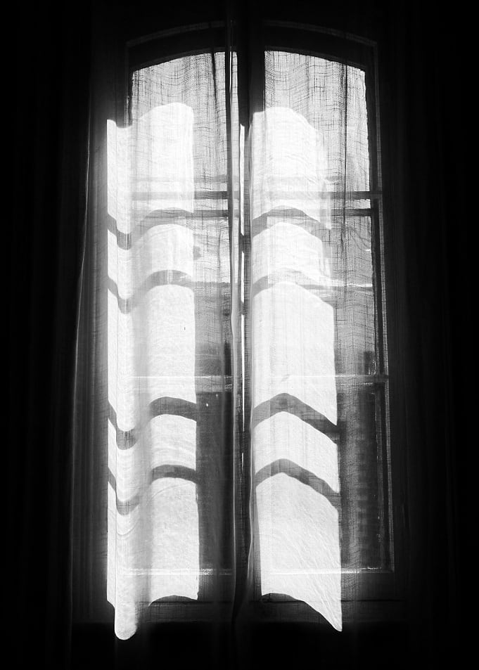 Window