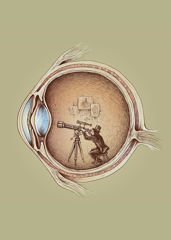 Extraordinary Observer