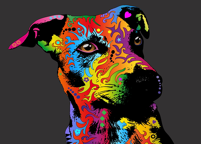 Jack Russell Terrier