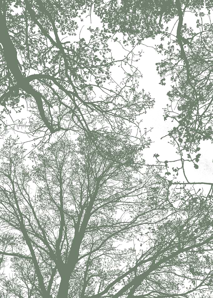 Abstract Trees