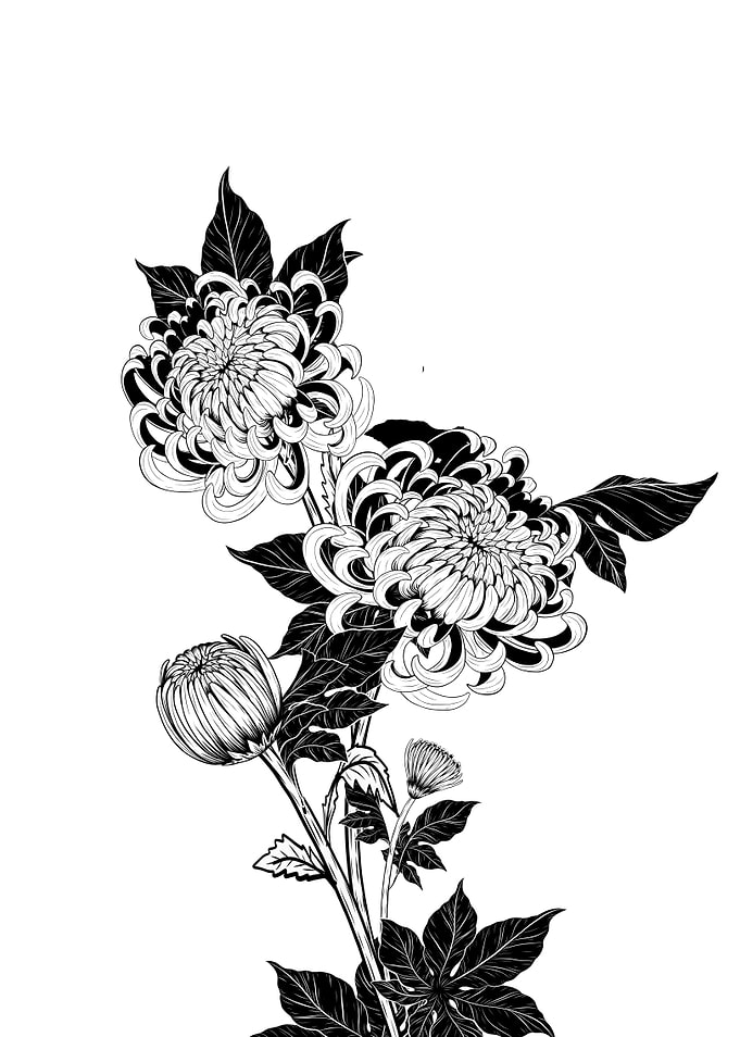 Autumn Flowers