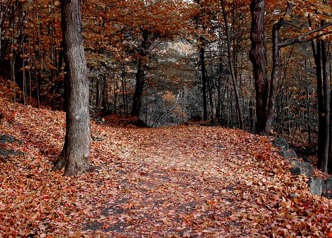 Fall