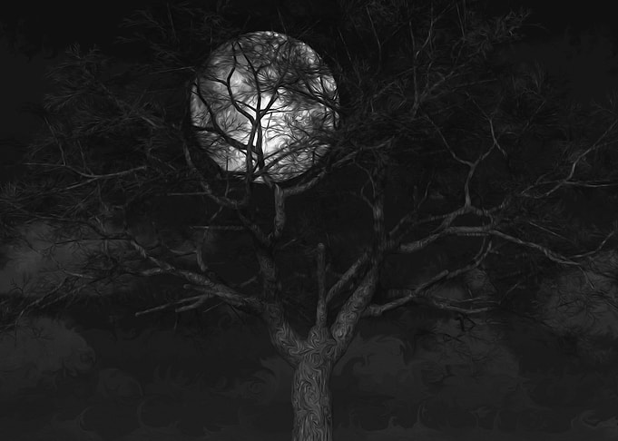 In The Pale Moonlight