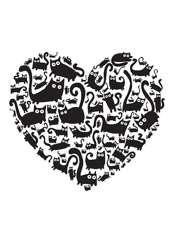 Black cats heart