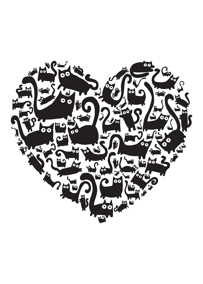 Black cats heart
