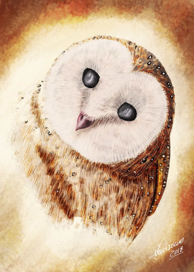 Owl 3