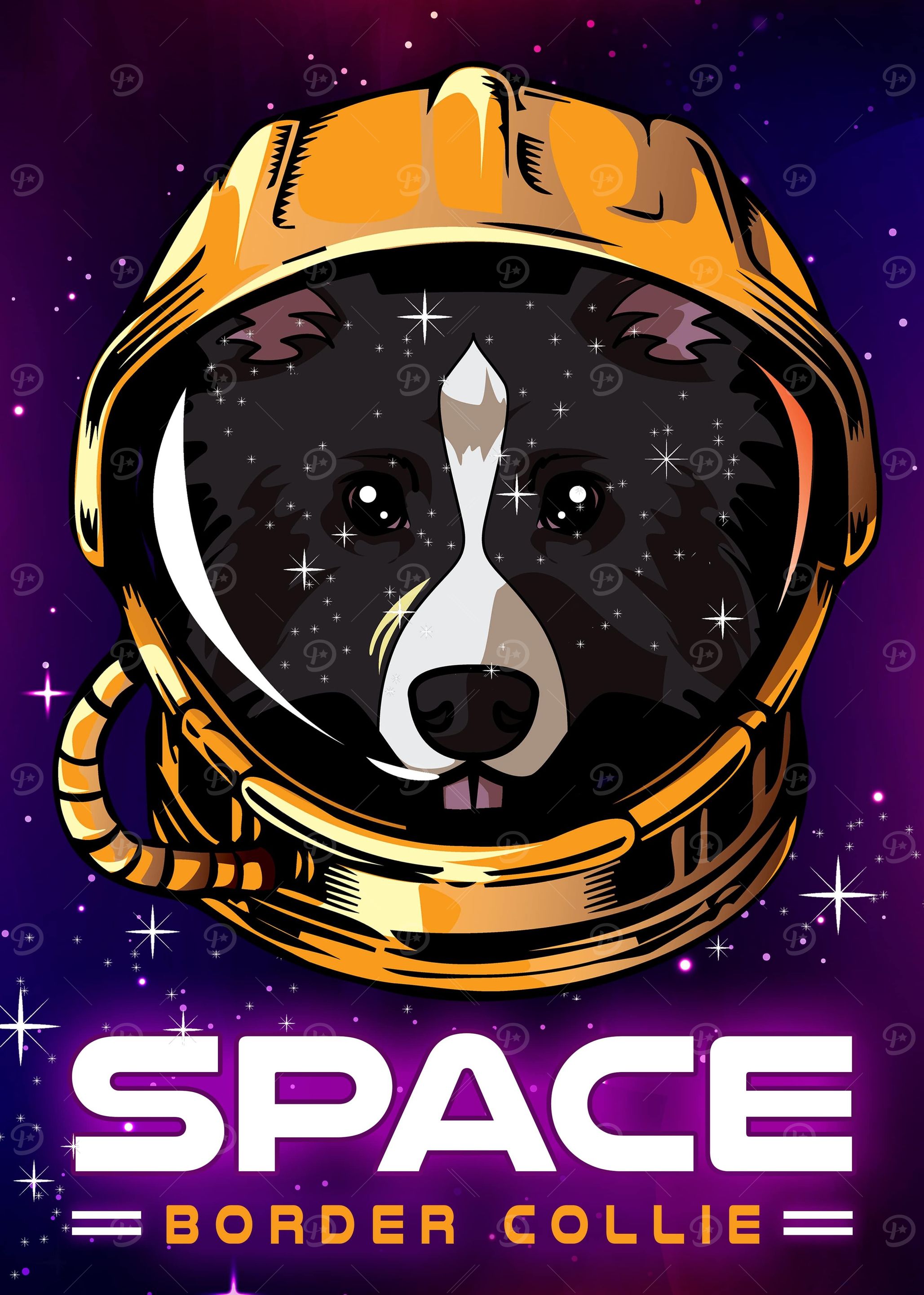 Space Border Collie