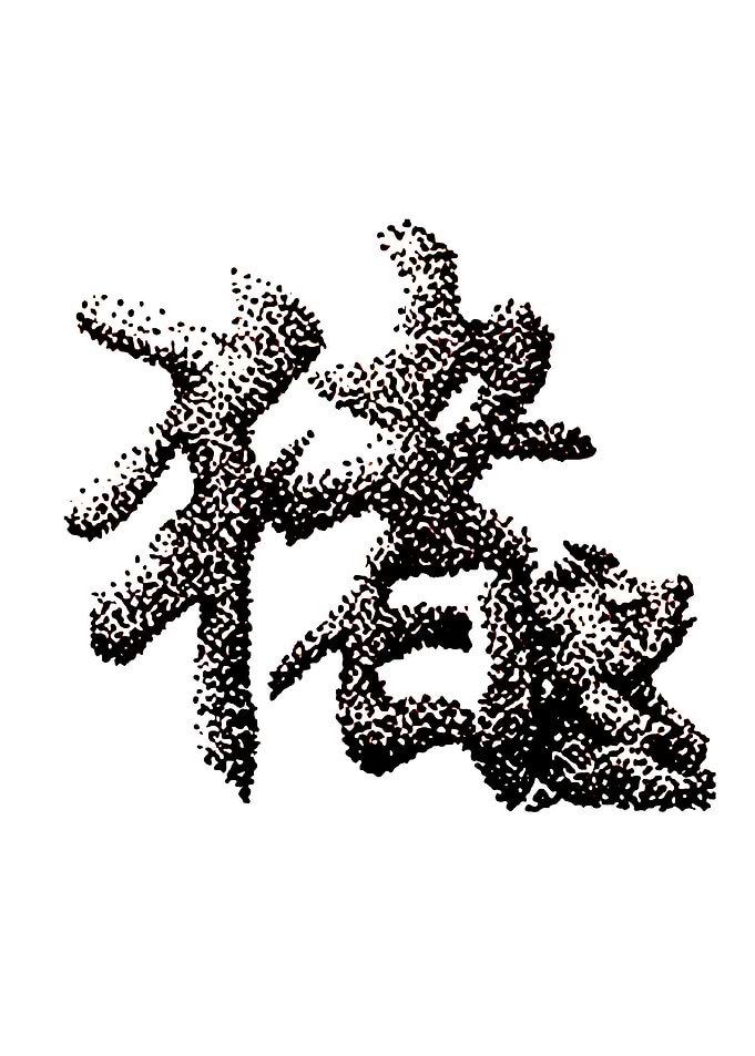 The Zodiac 12 Pig