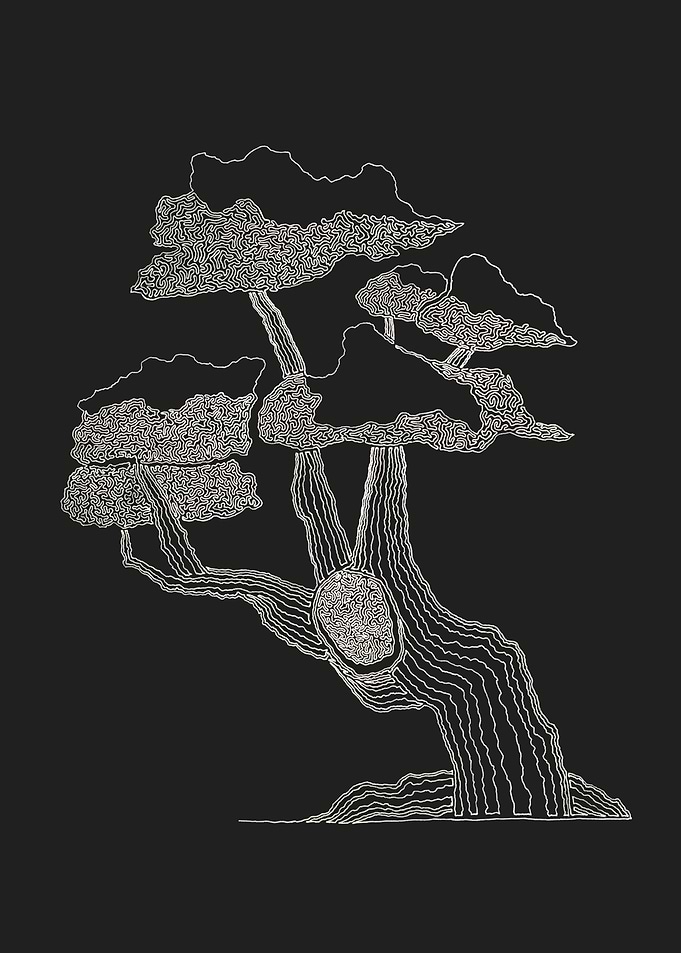 Bonsai3