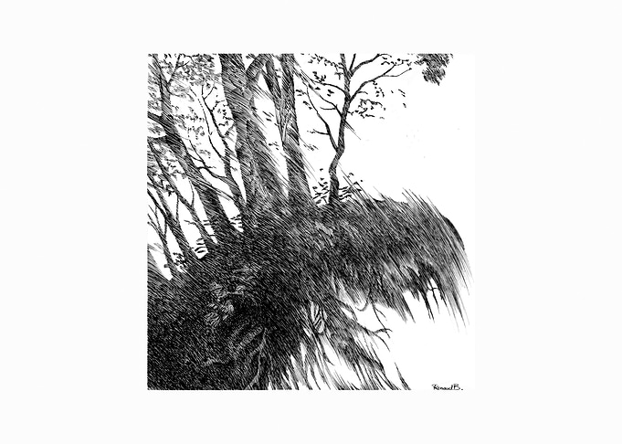 forest in motion
