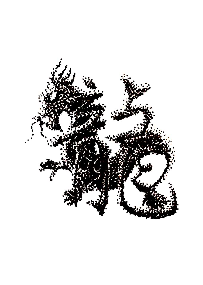 The Zodiac 12 Dragon