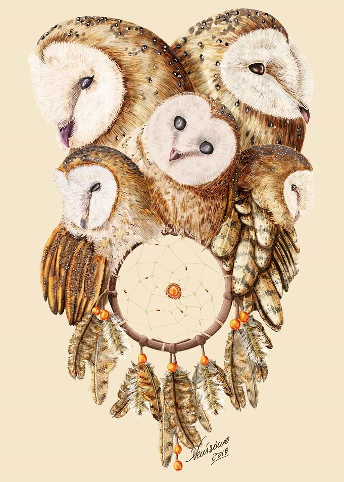 Dreamcatcher Owls
