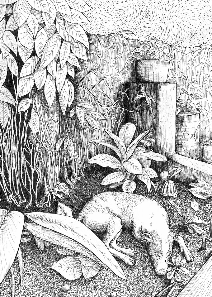 Garden Dog