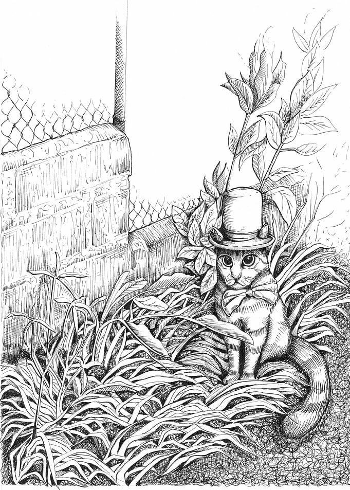 Garden cat