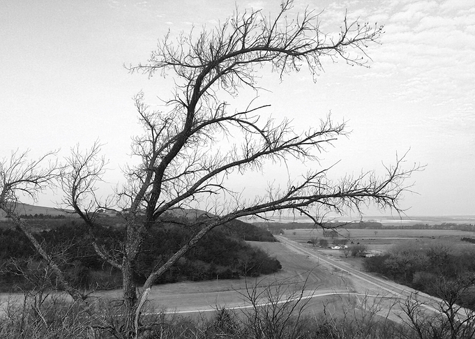 Winter IMG1182