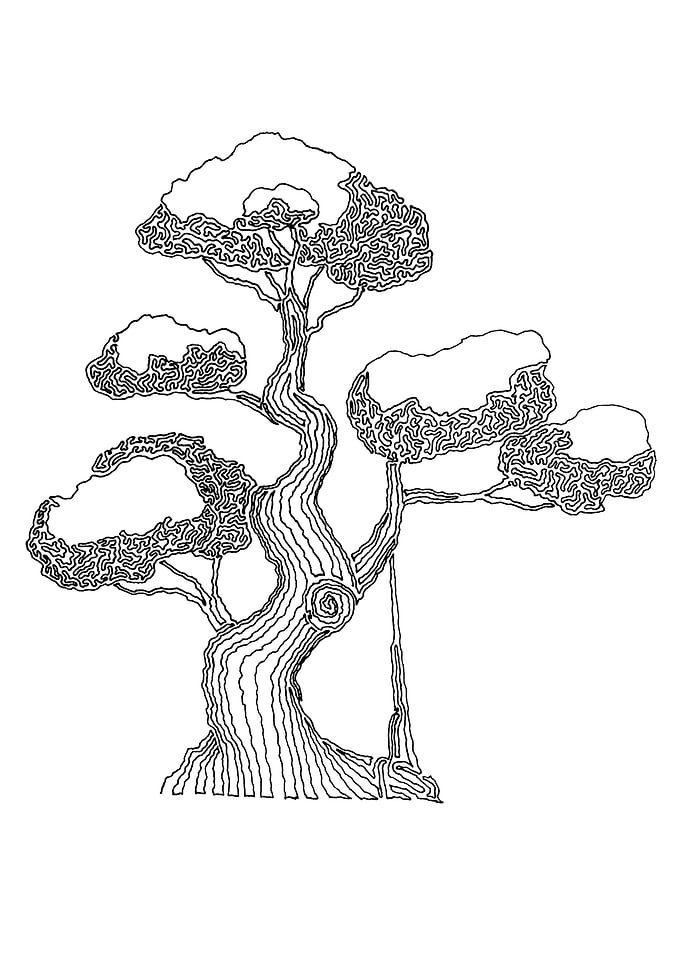 Bonsai2