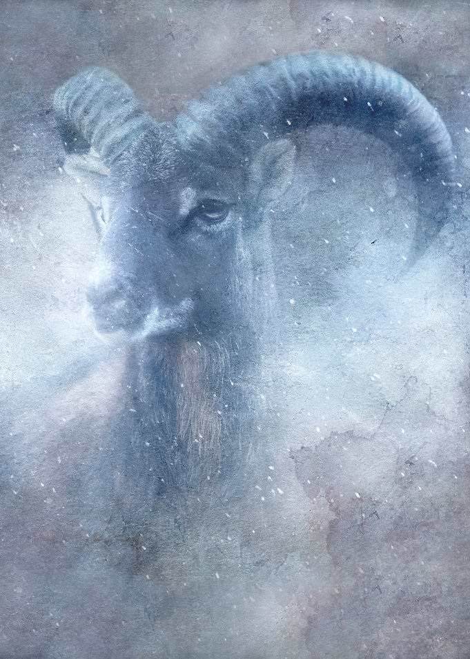 Winter Horns
