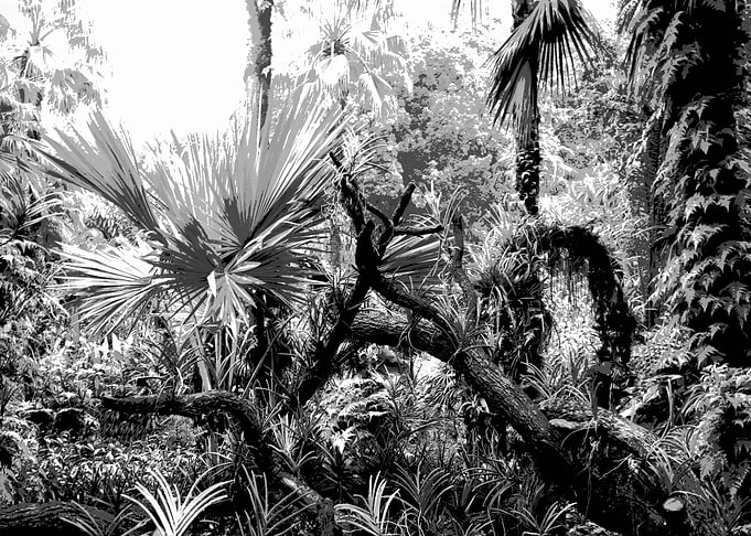 Singa Botanical Garden 2