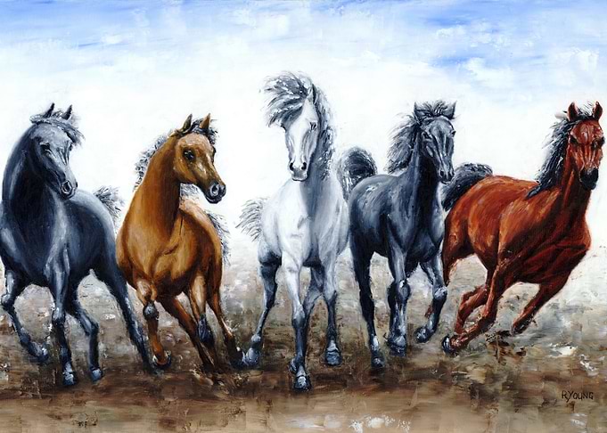 Wild Arabians