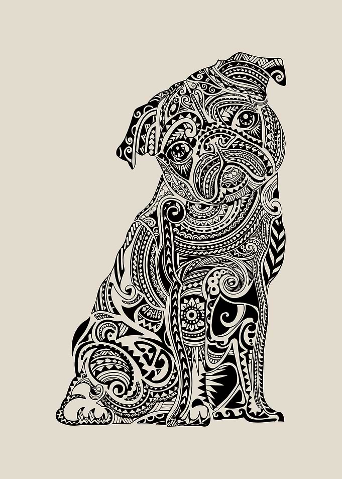 Polynesian Pug