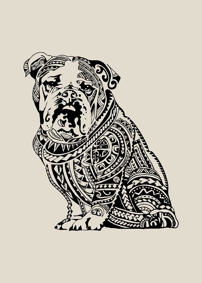 Polynesian Bulldog