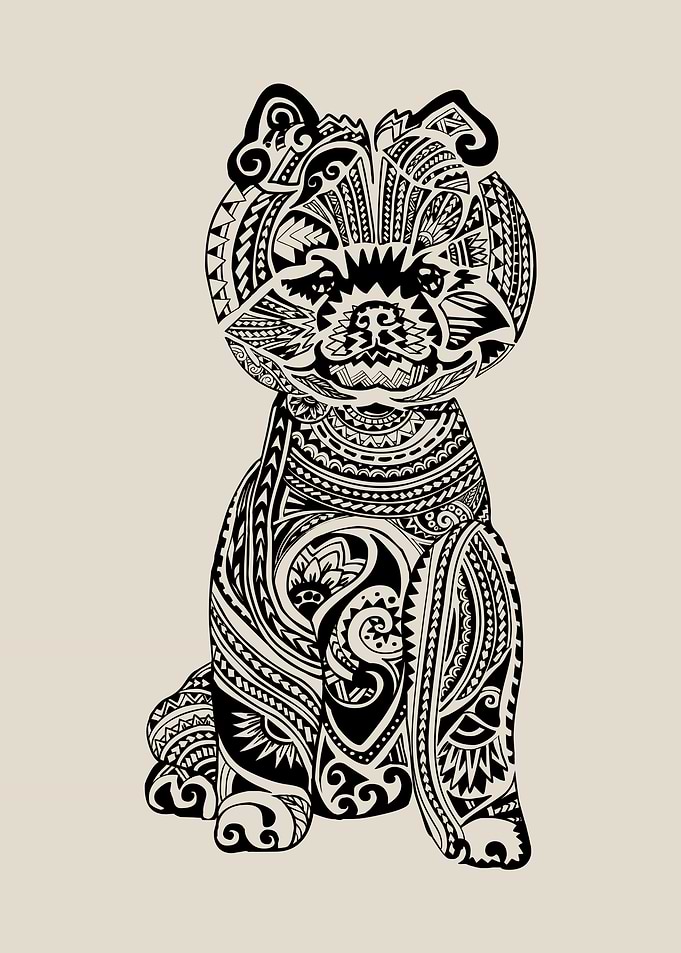 Polynesian Pomeranian