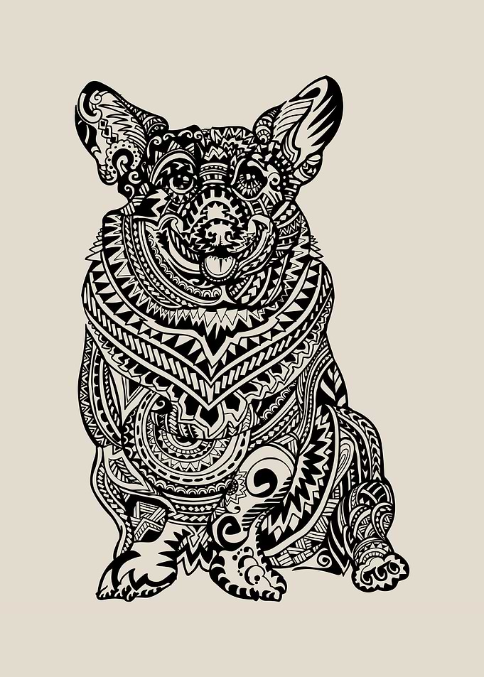 Polynesian Corgi