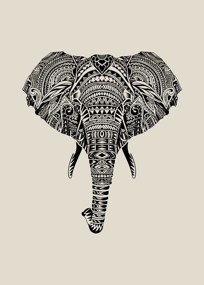 Polynesian Elephant