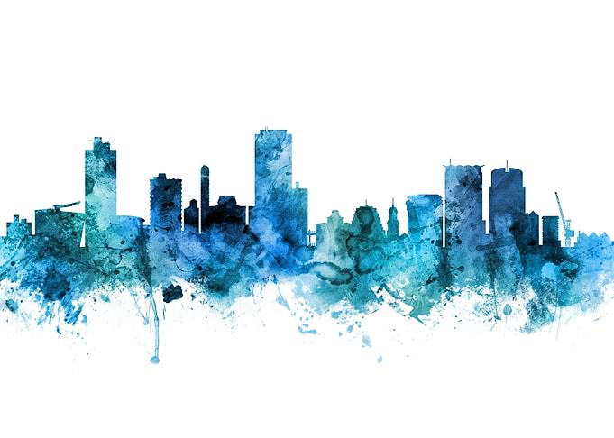 Wellington Skyline