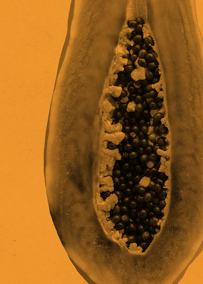 Papaya