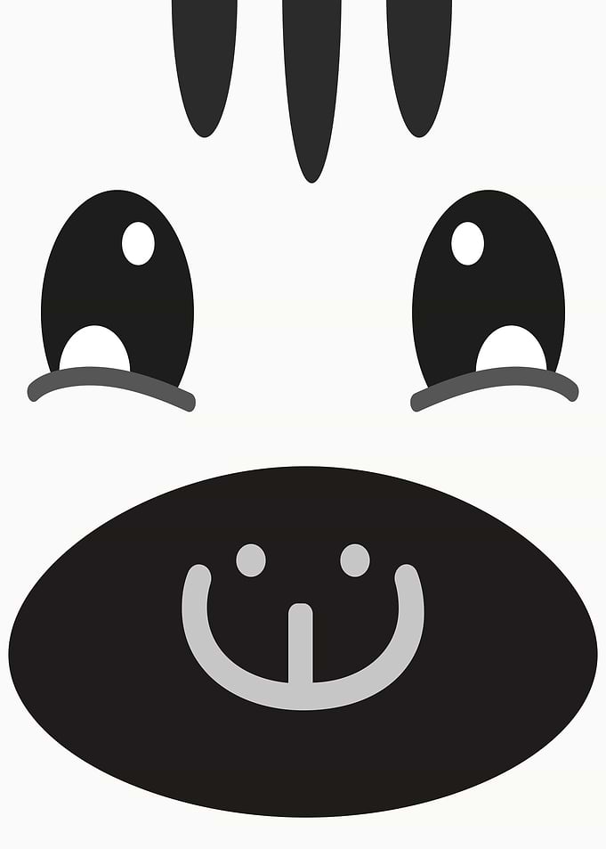 Happy zebra face