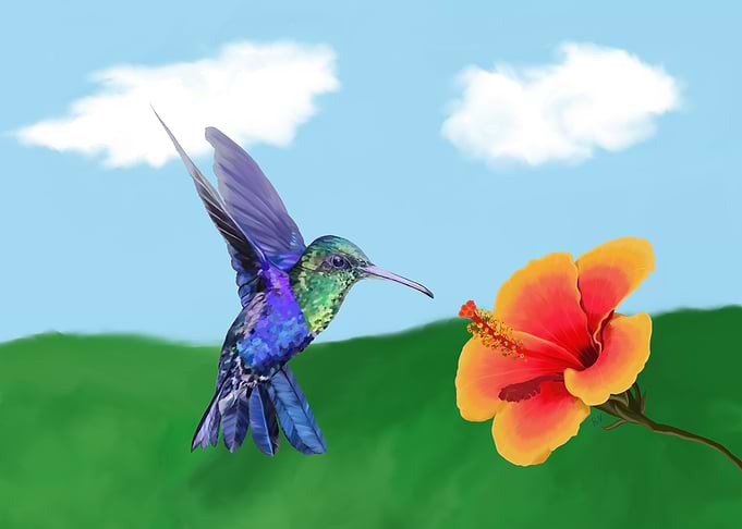 A very hungry hummingbird