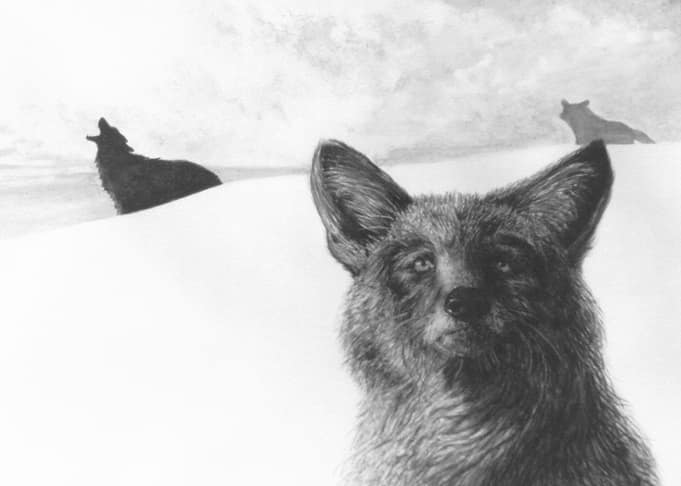 Coyote BW18