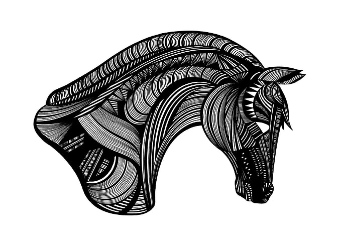 HORSE ILLUSTRATION