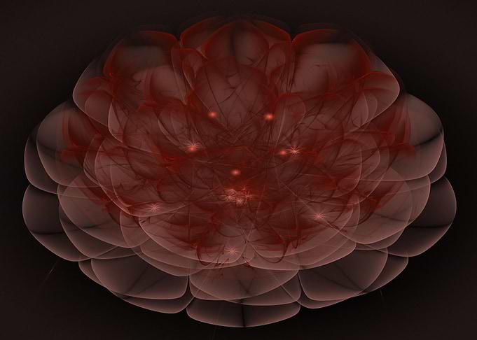 Electric Rose