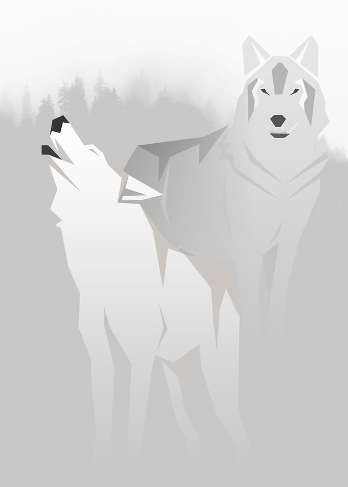Wolves in the mountains