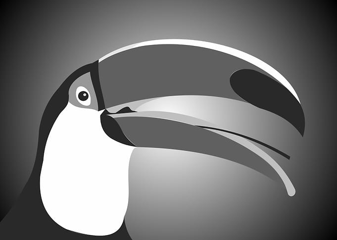 Pelikan