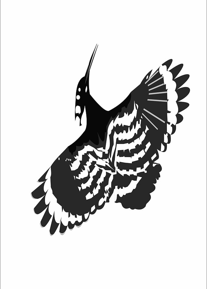 Flying bird